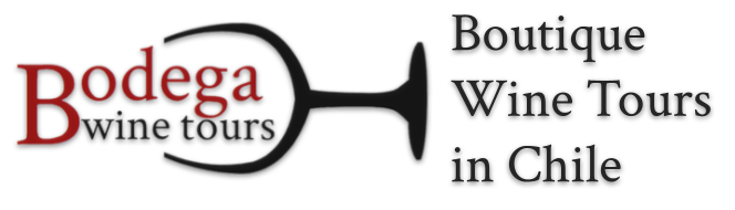 Link for Boutique WIne Tours in Chile